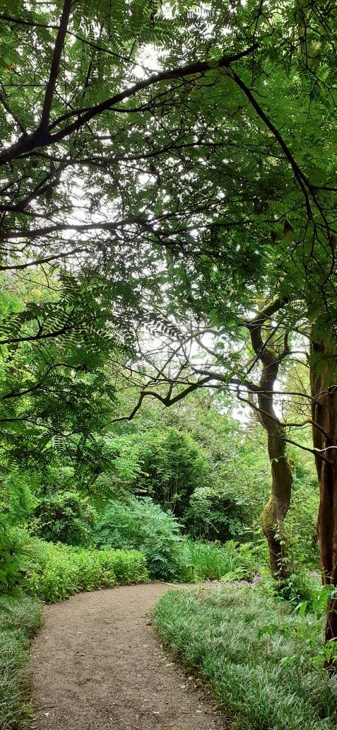 Eithnenc's tweet photo. So good to be back @TheBotanics https://t.co/gNCBGJWLIJ
