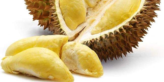 Excel_Dee's tweet photo. TIPS MEMILIH BUAH DURIAN YANG BAGUS

Bagaimana tips memilih buah durian yang baik? bila anda penikmat durian pasti tidak akan melewatkan untuk membaca tips ini:

Memilih buah durian dari ukuran dan bentuk buah

- Pilih buah durian yang berbentuk  bulat penuh,hindari yang durian https://t.co/Go5bevIHU3