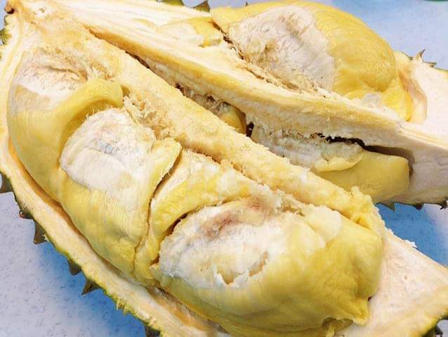 Excel_Dee's tweet photo. TIPS MEMILIH BUAH DURIAN YANG BAGUS

Bagaimana tips memilih buah durian yang baik? bila anda penikmat durian pasti tidak akan melewatkan untuk membaca tips ini:

Memilih buah durian dari ukuran dan bentuk buah

- Pilih buah durian yang berbentuk  bulat penuh,hindari yang durian https://t.co/Go5bevIHU3