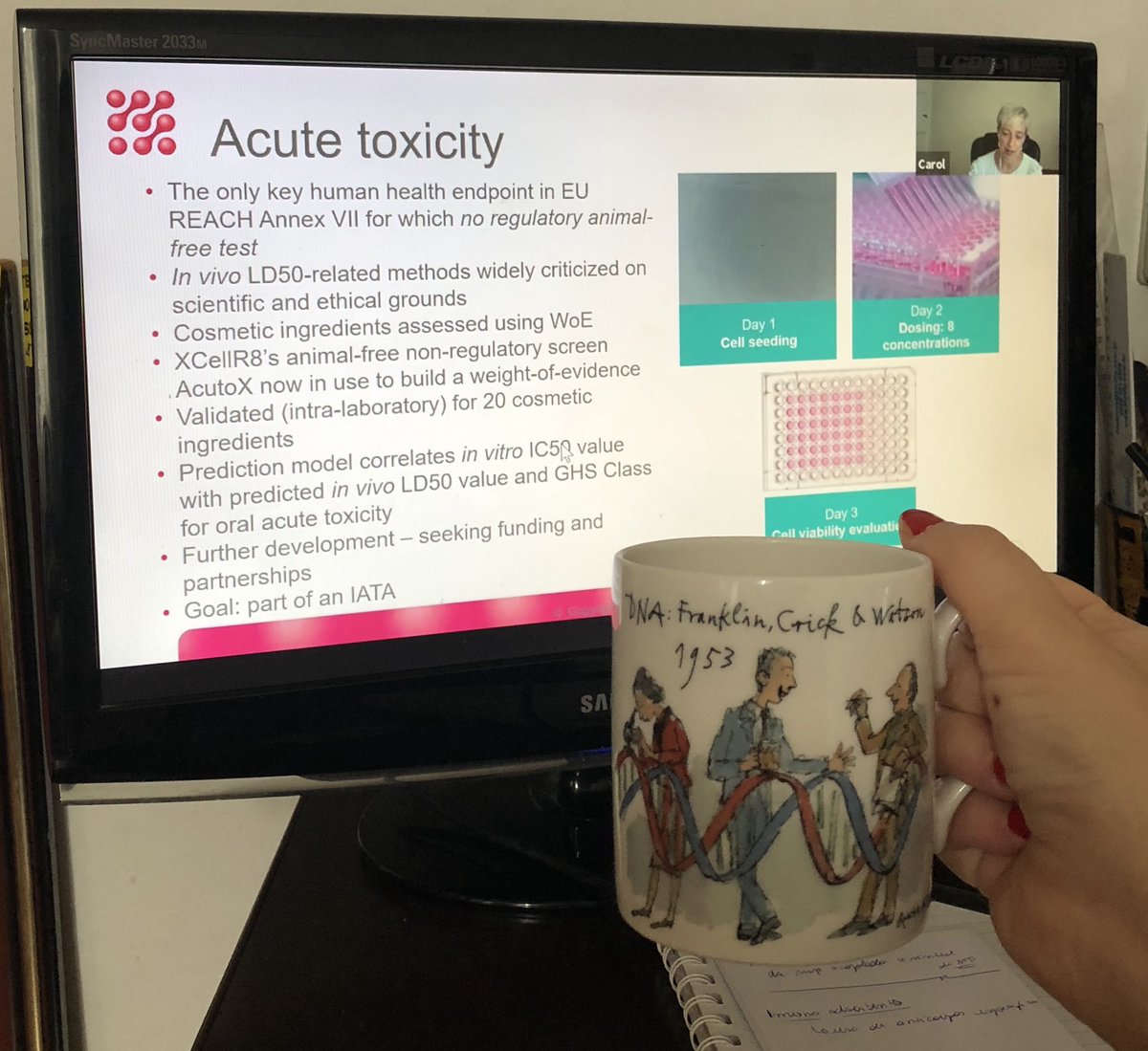 nath_ferrarifs's tweet photo. A virtual meeting and a cup of coffee 

🖥☕️
#scienceandcoffee #AOCS #AOCS2020 #howareyouwatching https://t.co/tMqsu7wCnE