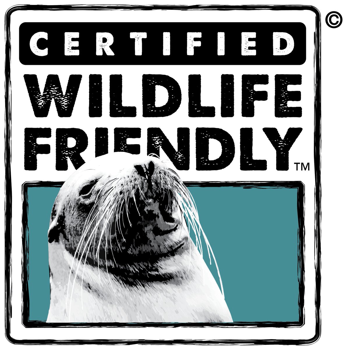 maydi_az's tweet photo. Did you know that #MAYDI received the @wfen certificate last year ? 
#sustainablefashion #slowfashion https://t.co/IKxDGB8bWu