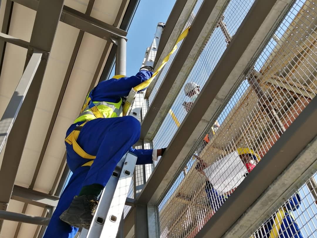 ArtMyJozi's tweet photo. We have flight!
Remember the laser-cut birds that the artists were working on in Tipper? They are now being installed against the swimming pool mesh screen in Paterson Park south!
#ArtMyJozi #TheTrinitySession #JDA #PatersonPark #OrangeGrove #PlaceMakingThroughArt https://t.co/RPZO78wrWM