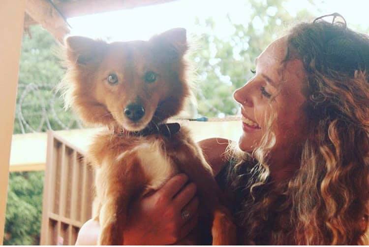 lauren_tavar's tweet photo. Since puppyhood, Socrates has been in the Peace Corps family. His owner was evacuated due to covid-19, and he was left behind. He finally arrived in the US but the CDC wants to send him back. We’re pleading with the CDC to approve quarantine on American soil.@WhiteHouse @SecAzar https://t.co/F5GWNAHYnl