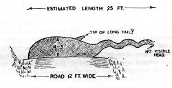 The image depicts the Spicer sighting of August 1933, the first land sighting of the  #LochNessMonster. Mr F. T.G. Spicer worked extremely hard to promote his sighting and evidently enjoyed the publicity...