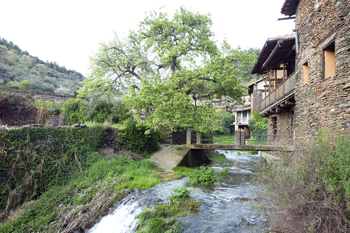 extremadura_tur's tweet image. 5 localidades de #Extremadura forman parte de Los Pueblos Más Bonitos de España @LosPueblosmbe. #Trujillo, #RobledilloDeGata, #Guadalupe, #Olivenza y #SanMartínDeTrevejo. ¿Has visitado alguna? ¿Te gustaron?
lospueblosmasbonitosdeespana.org/extremadura

+info en nuestra web👇🏻
turismoextremadura.com/es/explora/ciu…