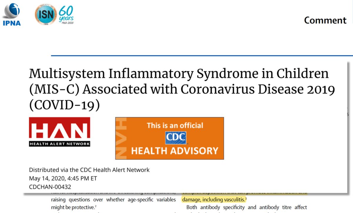 ISNkidneycare's tweet photo. As this new entity develops we've learned different involvement in children and adolescents, a Multisystem Inflammatory Syndrome in Children (MIS-C).
#ISN_IPNAwebinar @vjha126 #K_D https://t.co/t9UCMKalfG