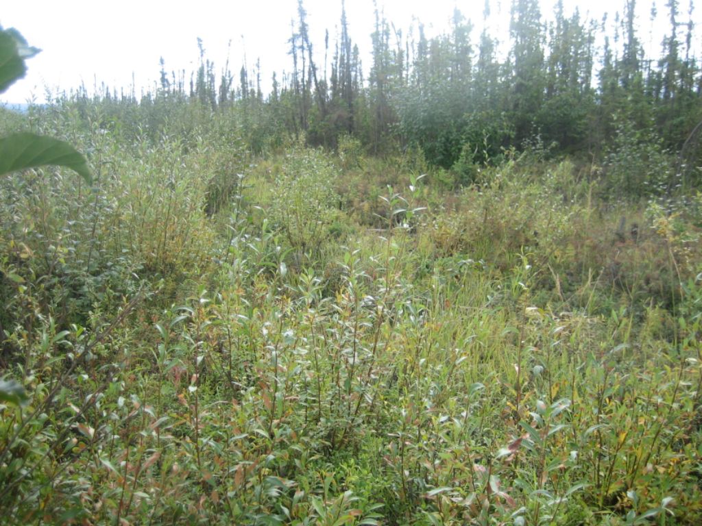 ダルトンハイウェイ Twitter Search Twitter