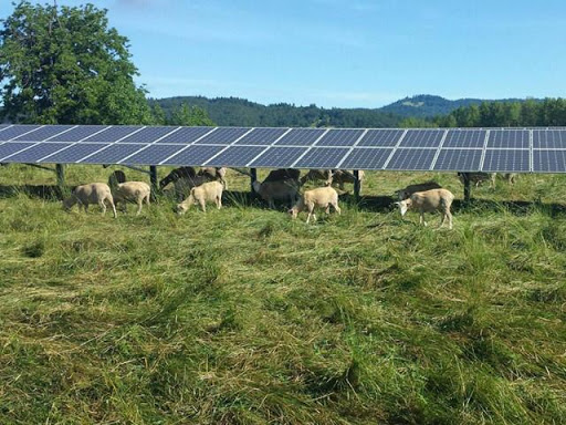 Applied_Solar tweet picture