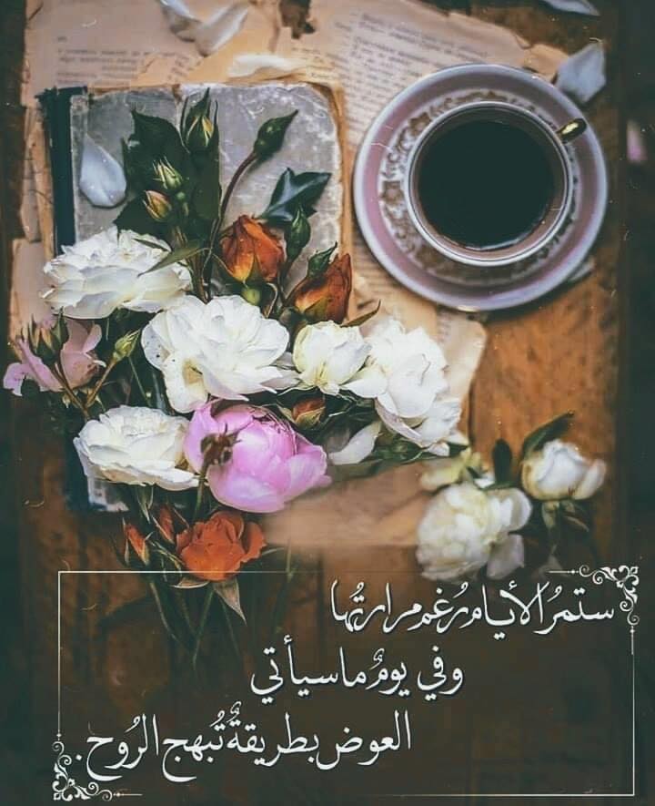 salma darcy (@darcy_salma) on Twitter photo 