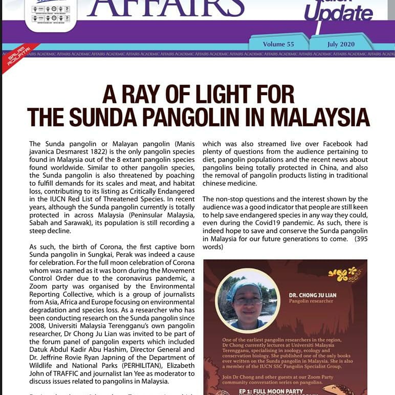 sundapangolin's tweet photo. Pleasant surprise to find my #pangolin article about @erc_earth #zoom meet on the front page of the university #enewsletter
#selamatkantenggilingkita #tenggiling #malaysia #universitimalaysiaterengganu
#umt #fssm #itbsd https://t.co/dA7GDGdOwz