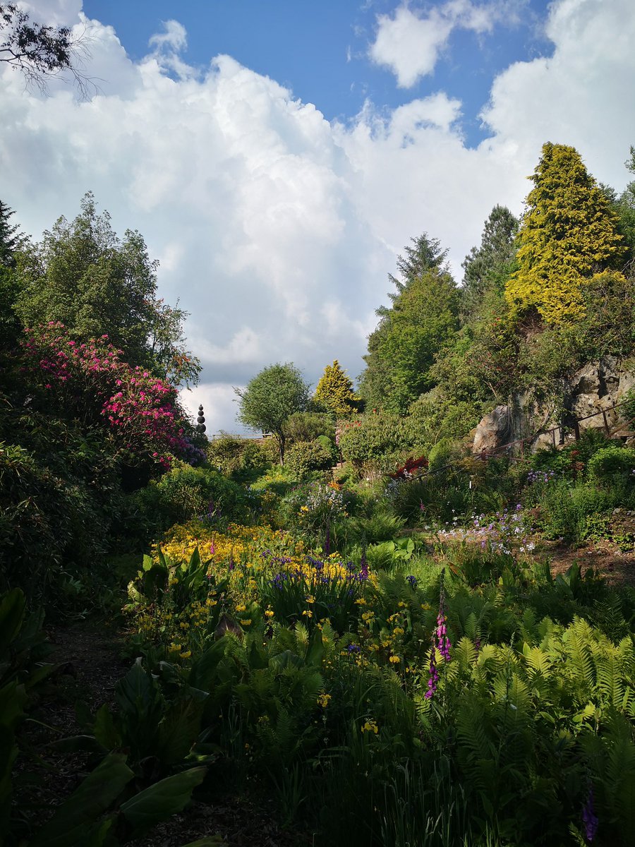 Come explore Glenwhan Gardens🥾 Beautiful sights, sounds and heavenly smells from the breathtaking flowers😌💐 And if you’re looking for a wee escape, book our Shepherds Hut and explore the gardens for FREE during your stay🌺🌿
#ScottishGarden #DiscoverScottishGardens