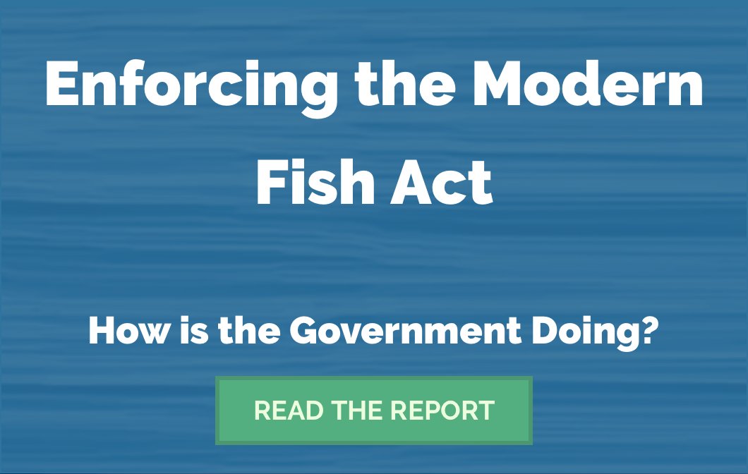 sportfishpolicy's tweet photo. Still a long way to go in implementing the #ModernFish Act. We knew this ship wouldn’t turn on a dime, and we will continue working with @NOAAFisheries, the regional management councils and the states to enforce the law the way Congress intended it. https://t.co/jHBdXwSkZA https://t.co/I0IWnipMYl