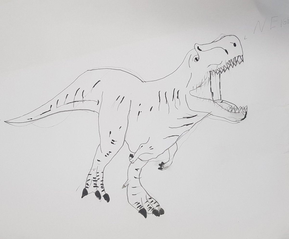 EndeavourClass's tweet image. We enjoyed following an online tutorial which showed us how to draw T-Rex @normanbyspital #dinosaurs