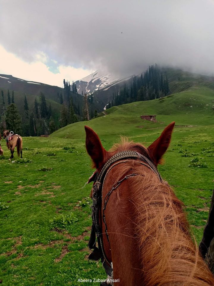 ihameed123's tweet photo. Pakistan Beautiful 
Sri Paya
Kaghan V 
PC Abeera Zubari
#BeautifulPakistan #PakistanBeautiful https://t.co/QXbfUAuU2N