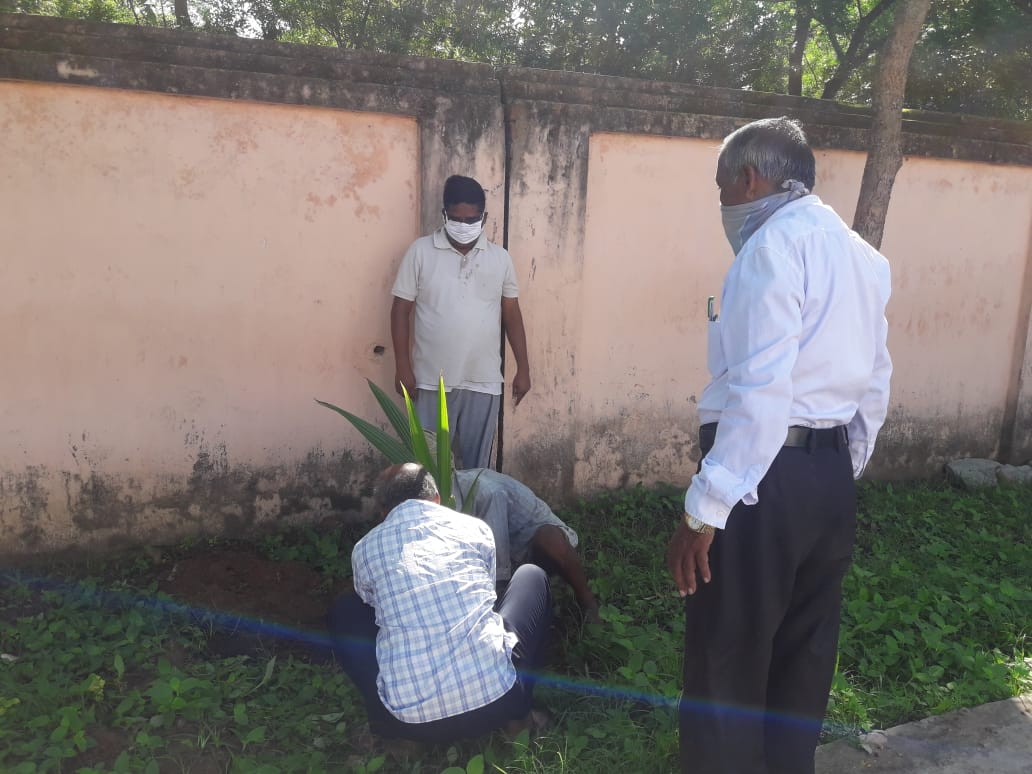 Plantation in Tahasil premise by Tahasildar and local  gentlemen