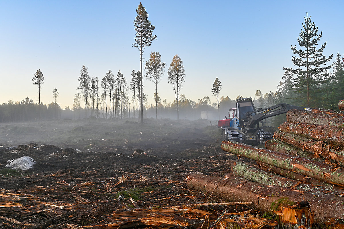 „Emotie regeert in biomassadebat” @HenriBontenbal #biomassa #klimaat rd.nl/1.1676478