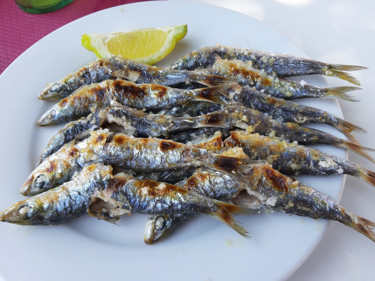 malagaesgenial's tweet photo. Sin comentarios ... #FelizMiercoles #sardinas #Mediterraneo #ElPalo #Málaga https://t.co/0Rm4qpjDOt