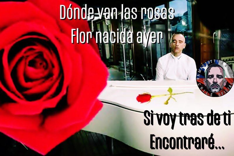 RamazzottiChile's tweet photo. Tengan un gran miércoles amigos de @RadioPudahuel  💪 y queremos escuchar con ustedes la canción ganadora de ayer #FlorNacidaAyer del gran cantautor italiano @RamazzottiEros 🎼🎸 #ElFCOficialDeErosEnChile #SomosDinamita @UMusicChile https://t.co/85DPl5BAGS