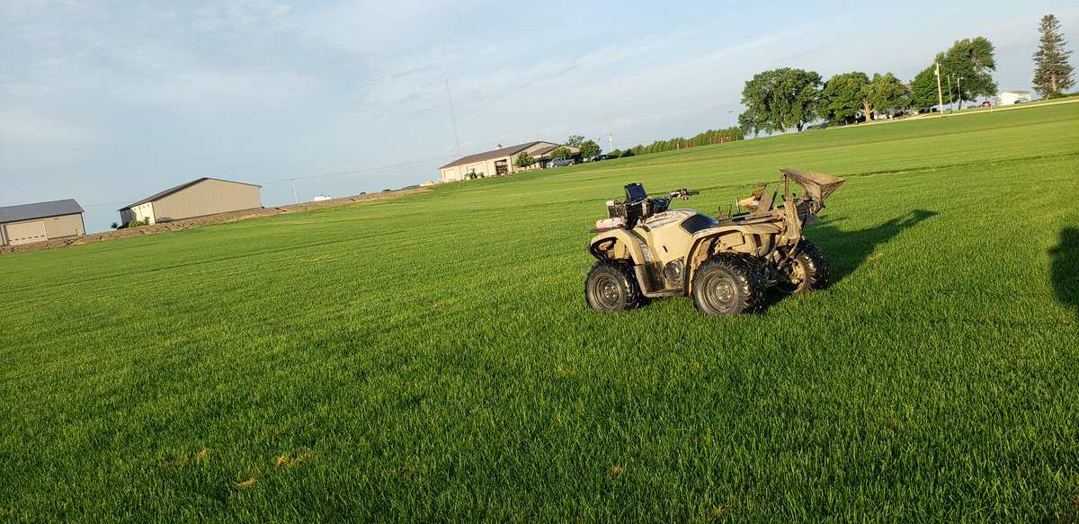soilsampling's tweet photo. Did some soil sampling on a sod farm the other day - this is the kind of sampling that can spoil a person! Perfectly flat and 80-something degrees - very different from a rough harvested corn field in November!
#soilsampling https://t.co/M1qQinVUgF