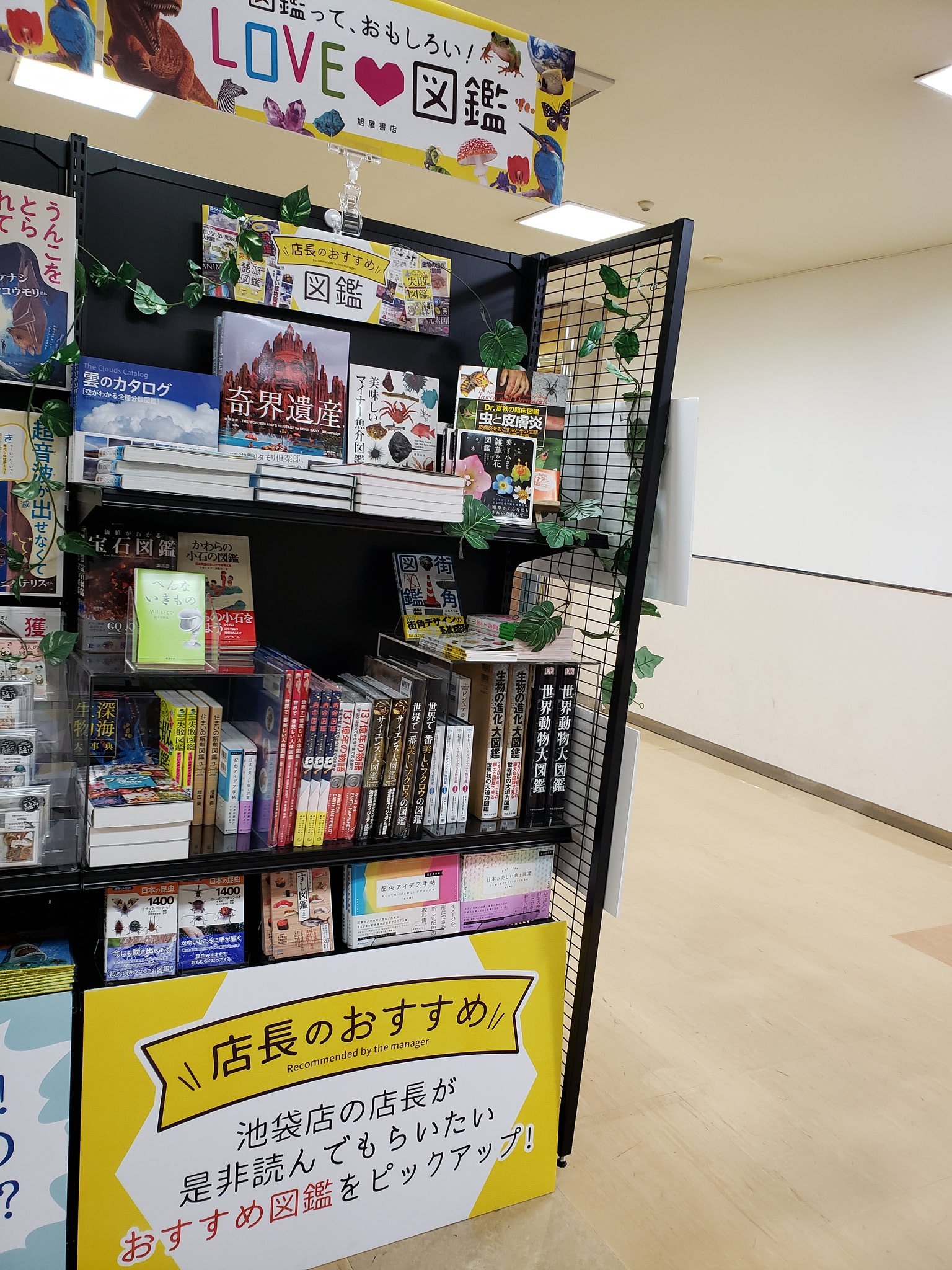 旭屋書店 池袋店 Love 図鑑展の見処 うちの店長 忠田がおすすめする図鑑コーナーもあります ここ 店長自ら陳列したんですよ なんだか人の本棚を覗き見しているようで ワクワクしてしまいました わたし 陳列方法も なんか かっこいい 旭屋書店 池袋店 Love 図鑑展の見処 うちの店長 忠田がおすすめする図鑑コーナーもあります ここ 店長自ら陳列したんですよ なんだか人の本棚を覗き見しているようで ワクワクしてしまいました わたし 陳列方法も なんか かっこいい