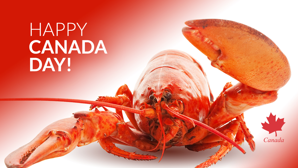 Wave your hands in the air and celebrate beclaws it's Canada Day! 🇨🇦 #CanadaDay
