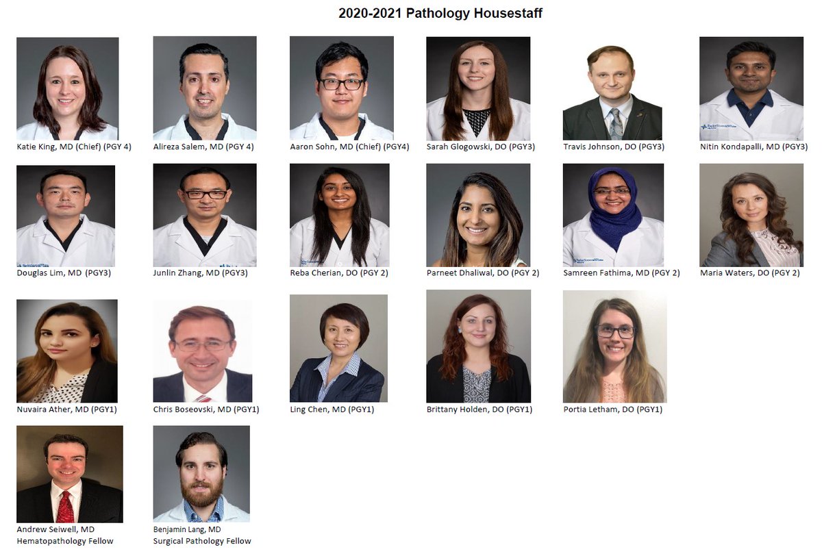 BUMCpath's tweet photo. BUMC 2020-2021 Pathology Residents! Here's to an amazing new academic year πΎ #pathology #bumcpath https://t.co/OtzNHucz7e