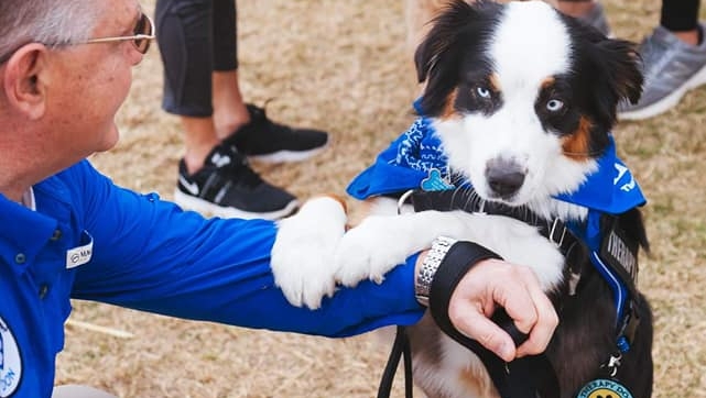 ChattUnite's tweet photo. 🐶Love on a Leash Scenic City Therapy Pets will join us for Chattanooga Unite: Healing & Uniting on the River....this face alone is reason enough! See ya July 11!
-
-
-
#dogswelcome #freeconcert #doggonefun #localfoodtrucks #familyfriendly https://t.co/8CwhVxIRlk