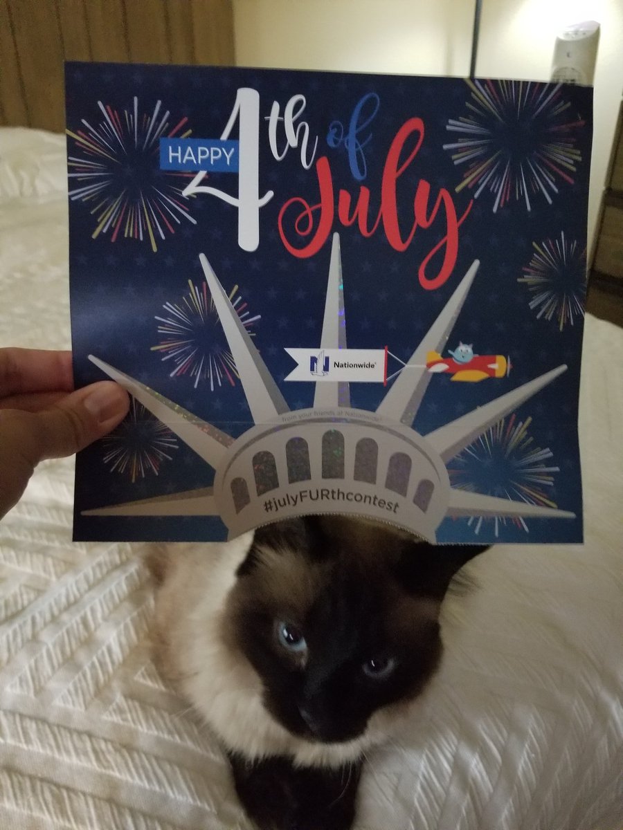 Archer being festive! #julyFURthecontest