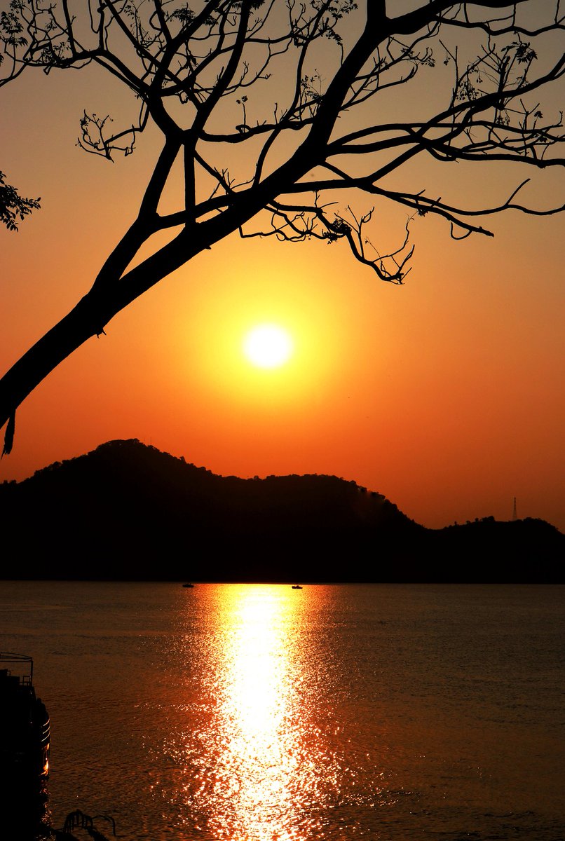 I am the autumnal sun,With autumn gales my race is run;When will the hazel put forth its flowers,Or the grape ripen under my bowers? #sunofnortheast #sunrise  #sunsetphotography  #goldenhour #nature  #NaturePhotography #natgeotravel  #natgeoyourshot  #assam  #Guwahati