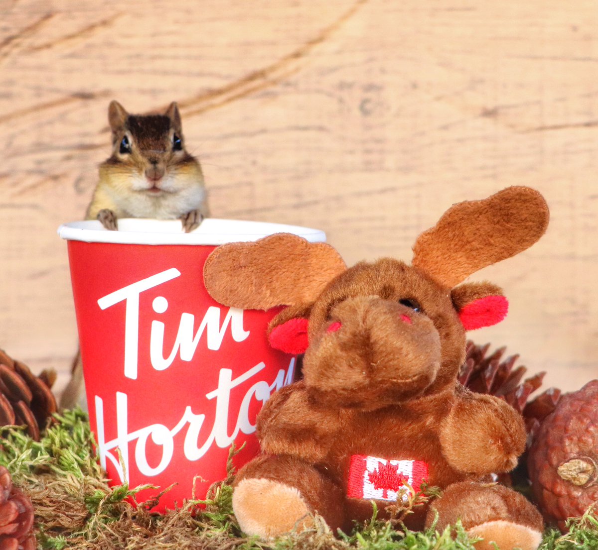 Happy Canada Day ❤️🇨🇦#CanadaDay2020 #OhCanada #cambridge  <a href="/TimHortons/">Tim Hortons</a> @cityofcambridge