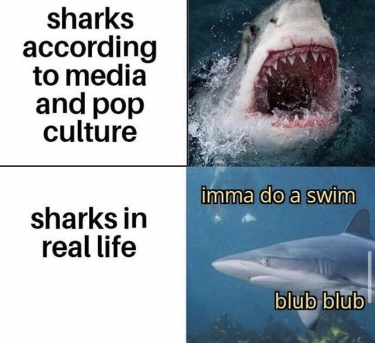 Respectful Memes tweet media