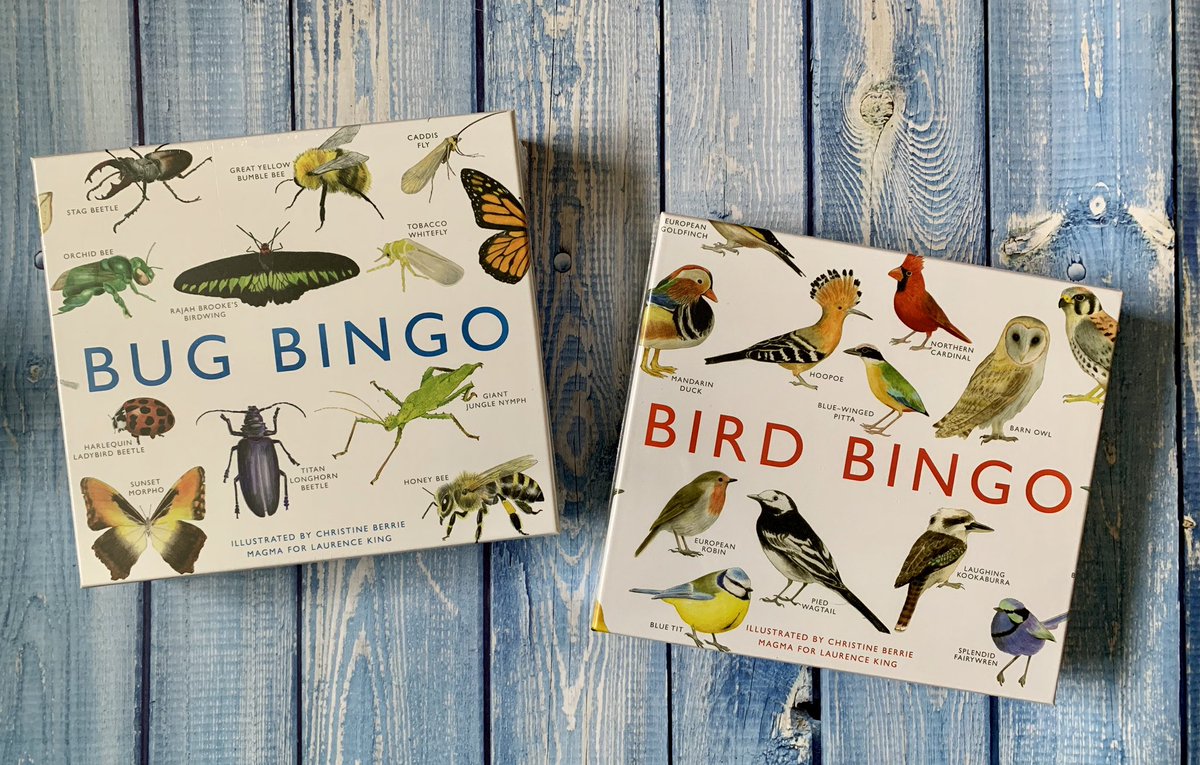 BookSuperhero2's tweet photo. Um, how gorgeous are these bingo sets from @LKPChildrens? #BirdBingo and #BugBingo by @BerrieChristine and #Magma 🦗🦋🦉 https://t.co/5gJ0LuuDn0