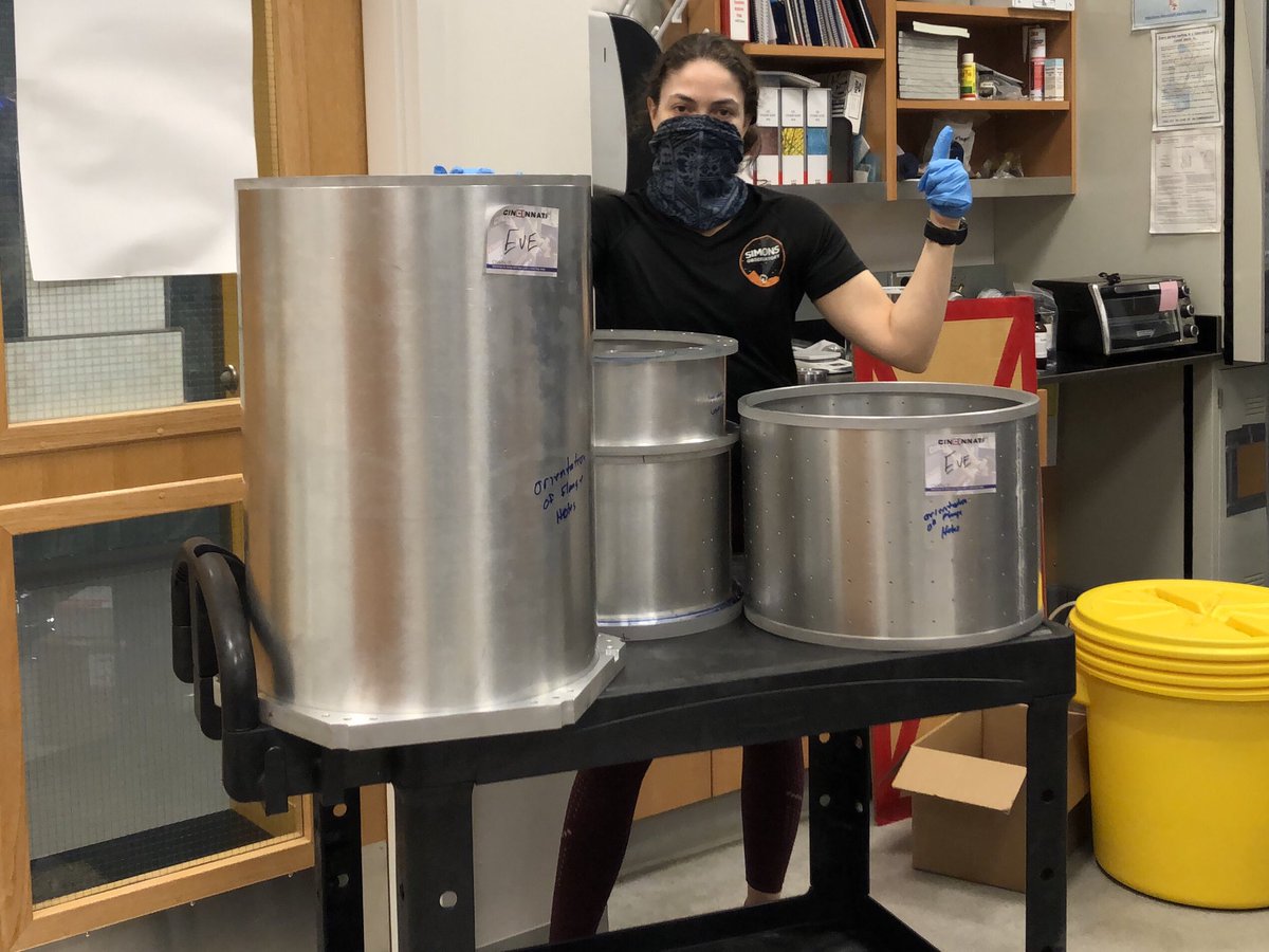EveVavagiakis's tweet photo. Yesterday I washed the first optics module (OM) cylinders for Mod-Cam, to get them ready for the final welding and machining. The OMs will hold the filters and lenses of the camera. And they’re big! Me for scale. https://t.co/O5rAxgQ27E
