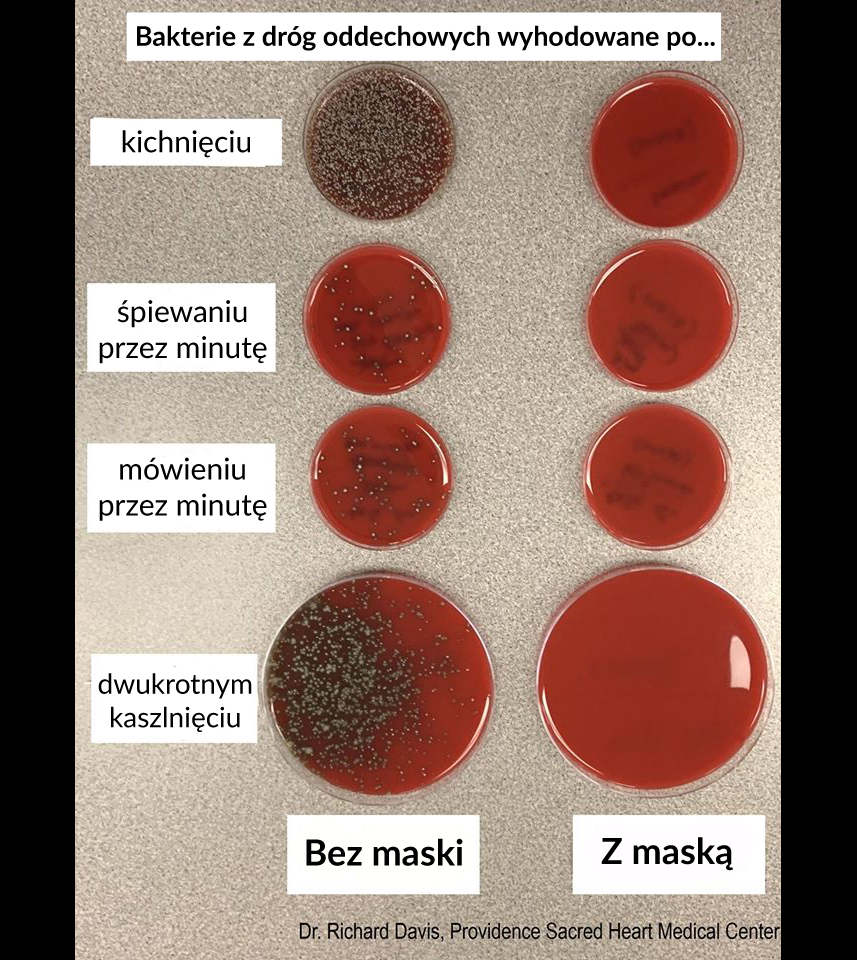 Hodowle bakterii wyhodowanych po poszczególnych czynnościach wykonanych z maską i bez maski.