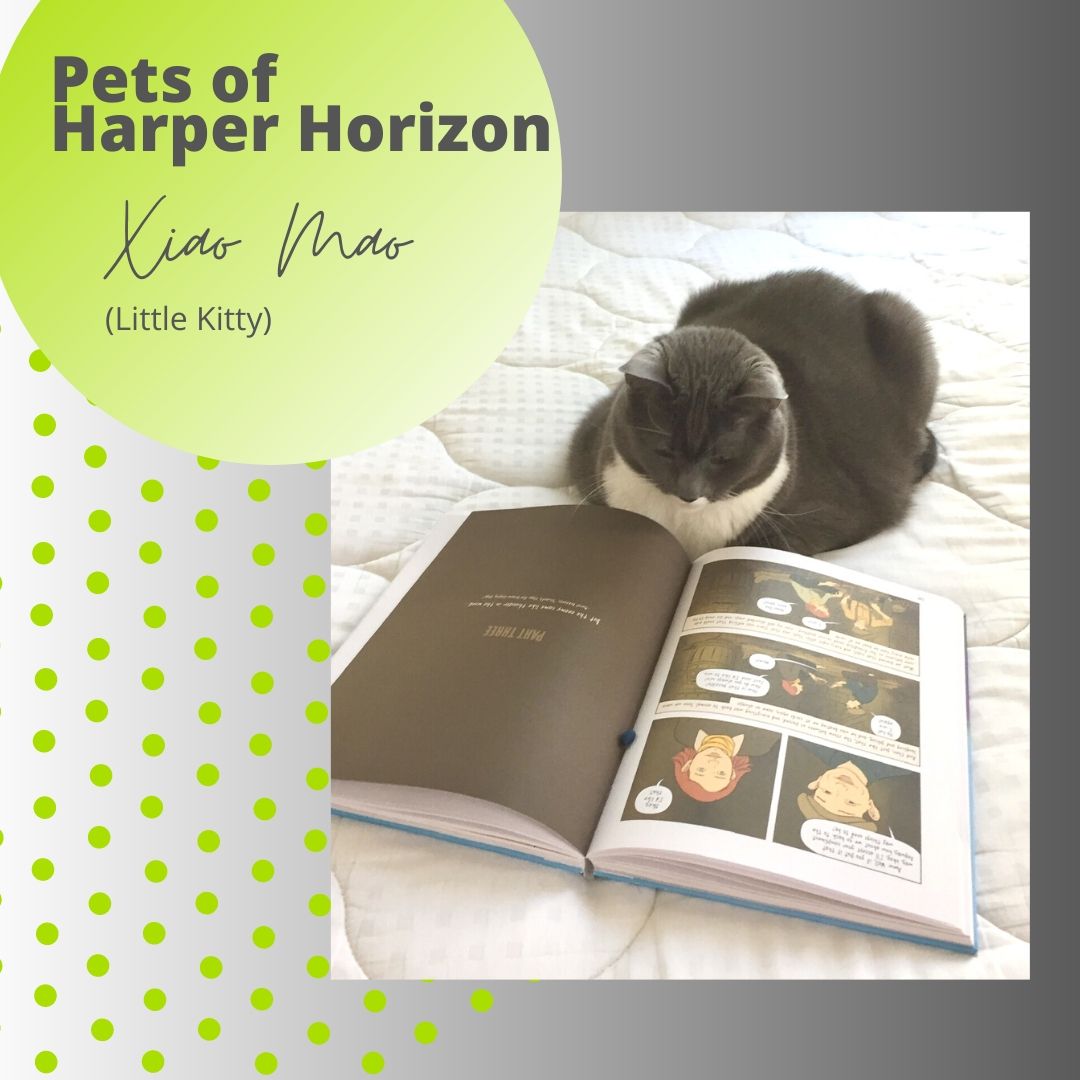 HarperHorizon's tweet photo. Today's #petofhorizon is Xiao Mao. Her favorite book is White Bird by RJ Palacio (seen in this picture). Xiao Mao likes to wake up her humans in the middle of the night by caterwauling loudly and then resettling herself on one of her human’s heads to fall back to sleep. https://t.co/hCLEbuZnJB