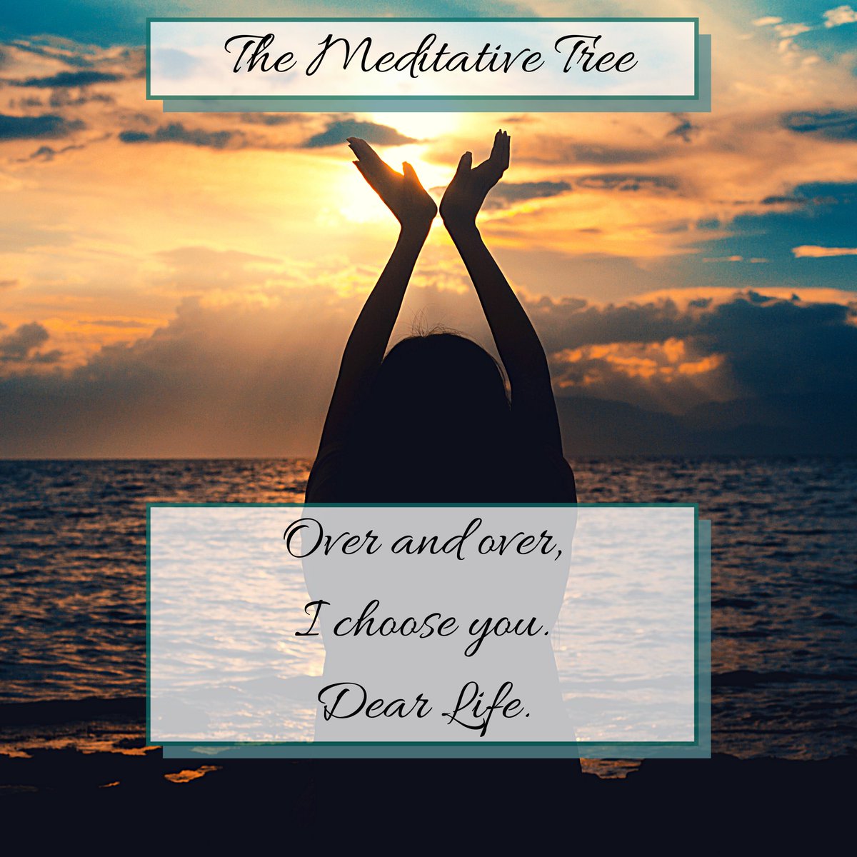 letters_connect's tweet photo. Thought of the day: Over and over, I choose you, life.
@scarsandglory
#themeditativetree
#meditativetreespeaks
#lifequotes #positivity #PositiveVibes #hope #motivation #MotivationalQuotes #NewBeginning #lifeisbig #InspirationalQuotes #thoughtoftheday https://t.co/oiIHPPOKDF