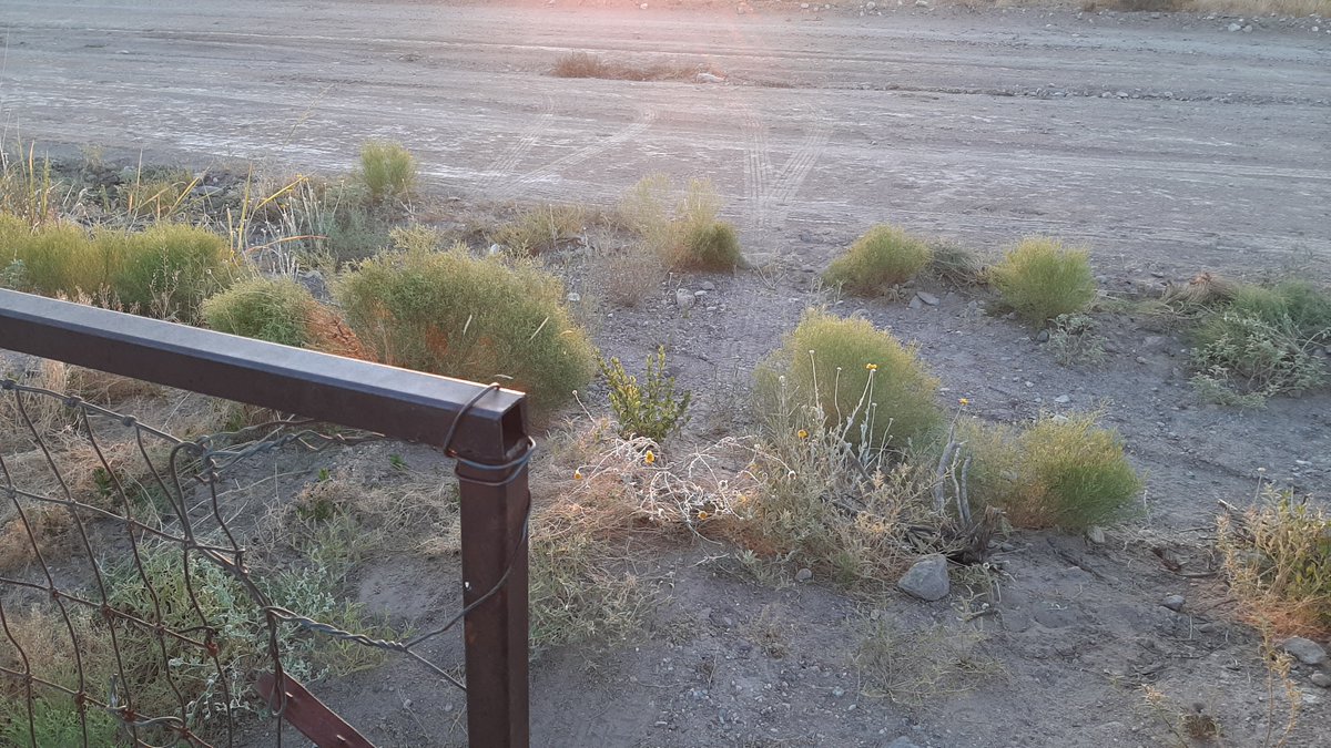 Deputy Chief Patrol Agent Chris Clem tweet media