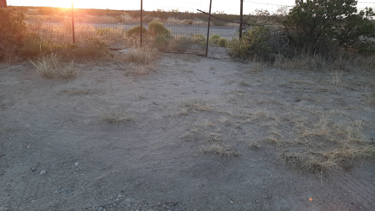 Lordsburg #USBP Agents received information of a possible vehicle crossing the international border in the boot heel of #NewMexico. With help from <a href="/CBPAMO/">CBP AMO</a> , agents located an Acura MDX and apprehended 7 subjects. #BorderSecurityisNationalSecurity <a href="/CBP/">CBP</a>