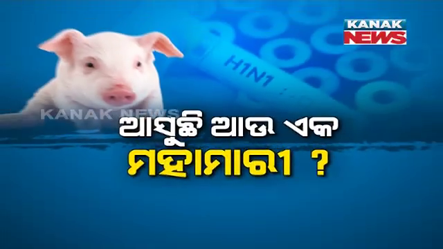 kanak_news's tweet photo. #ଆସୁଛି_ଆଉ_ଏକ_ମହାମାରୀ ? ସାରା ବିଶ୍ୱକୁ କରୋନା ଡରାଉଥିବା ବେଳେ ଆଉ ଏକ ମହାମାରୀ ଆସିବା ଆଶଙ୍କା । ଚୀନରେ ଠାବ ହେଲା ସ୍ୱାଇନ ଫ୍ଲୁ ଭାଇରସର ଏକ ନୂଆ ଷ୍ଟ୍ରେନ । ତୁରନ୍ତ ନିୟନ୍ତ୍ରଣ ନହେଲେ କରୋନା ଠାରୁ ହୋଇପାରେ ଅଧିକ ଭୟଙ୍କର
https://t.co/tfEG4vorMm
#China
#G4FluVirus https://t.co/Jnnp1FfyTG