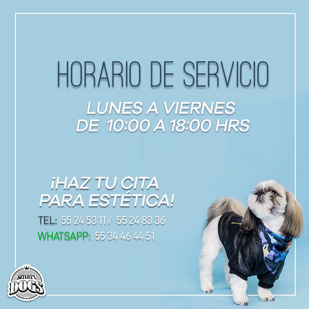 Smart Dogs tweet media