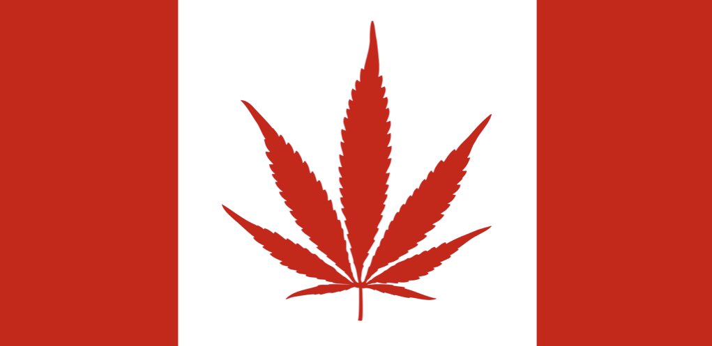 VindicaCo's tweet photo. Happy Canada Day!!! https://t.co/dpOp4he6f5