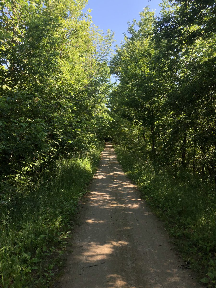 LaguitoGal's tweet photo. Beautiful 6k under sunny blue skies this morning ๐
Tom Petty running through my head:
โYou belong among the wildflowers.
You belong somewhere close to me.
Far away from your trouble and worry.
You belong somewhere you feel free.โ
#CountryRunner #TrailTime #wildflowers https://t.co/37RM5NoDOv