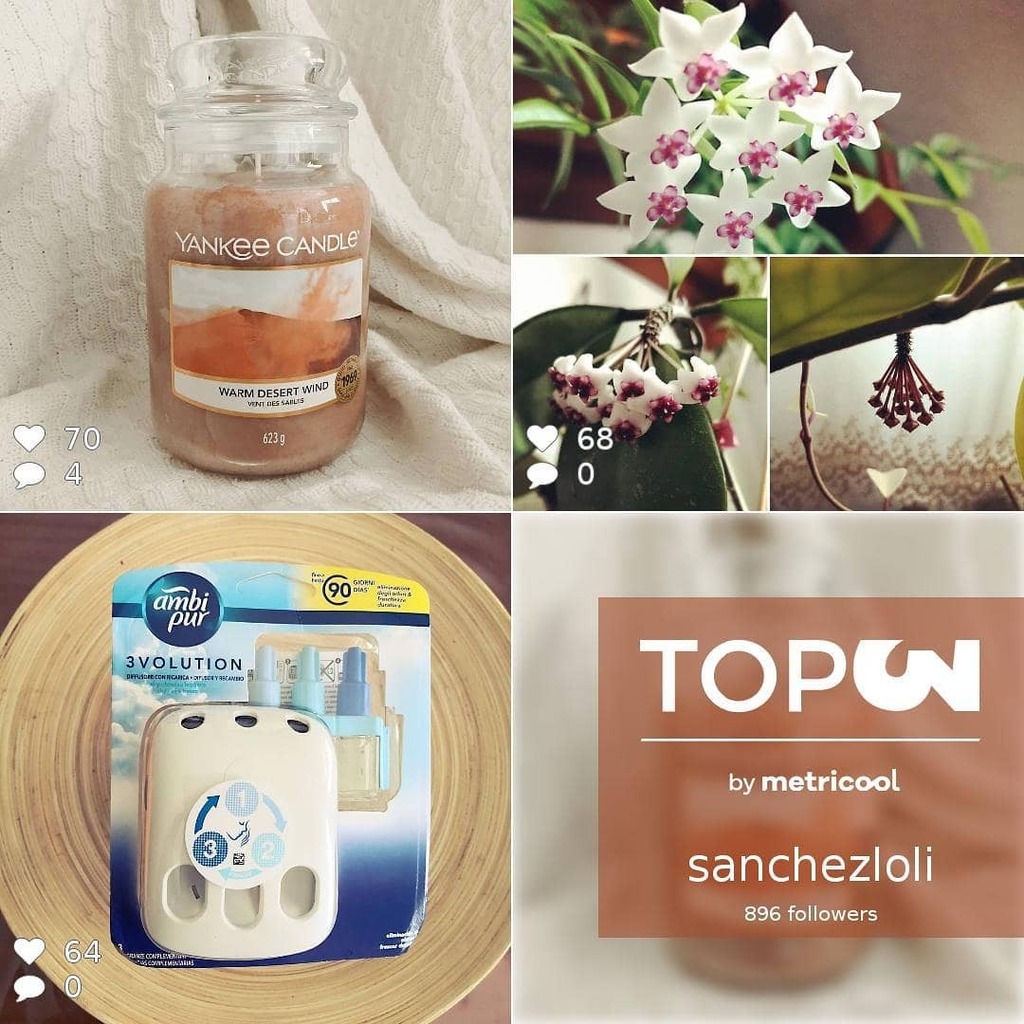 LSanchezE's tweet photo. Mi #top3 del mes pasado. Estas son las fotos que más os han gustado el mes de junio 😊
.
.
.
.
#junio #topjunio #topfoto #blogger #soyblogger https://t.co/Ufsc33Fndh
