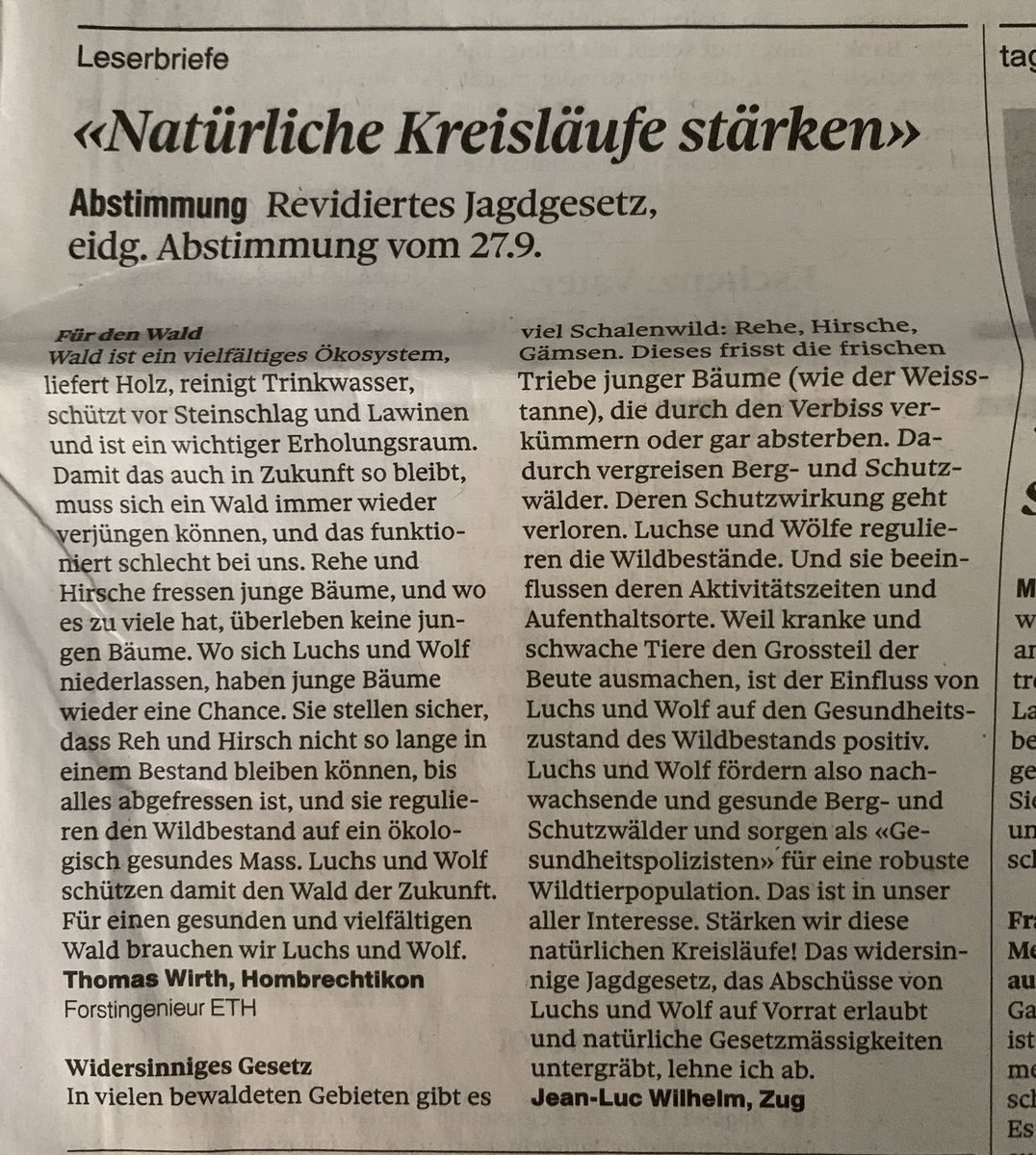 SandroSamba's tweet image. Die Forstleute greifen zur Feder👍🏻 @tagesanzeiger @towi71