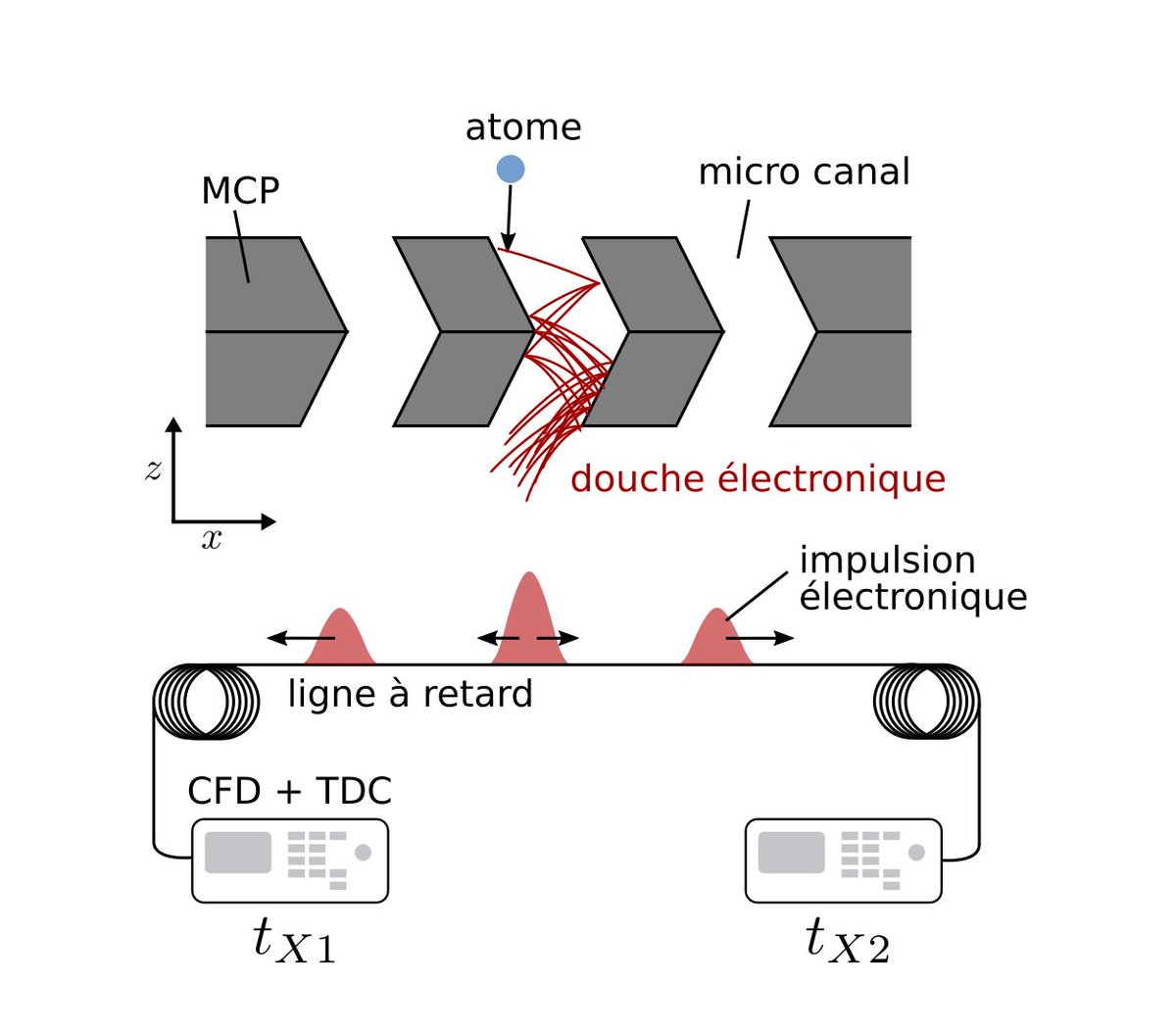 The electron is then accelerated in the canal, which produces an "electron shower". This shower falls onto a grid of delay lines. (9/n)