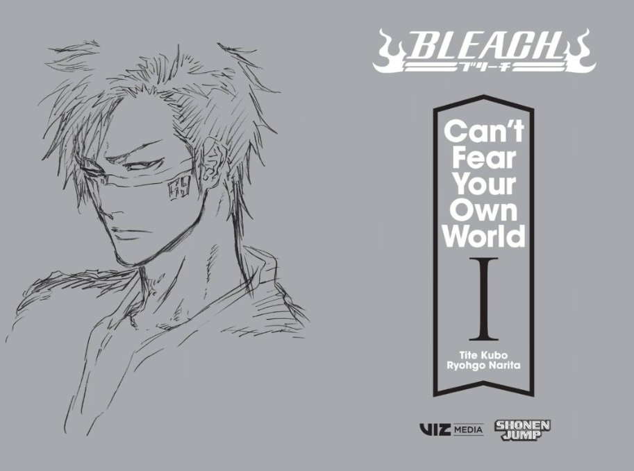 Bleach: Can't Fear Your Own World Vol. 1 by Tite Kubo