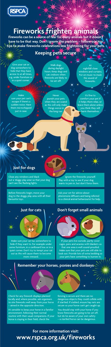 #Florida #Fireworks Law 2020

The new law allows the legal use of fireworks on the following holidays:

New Year's Eve - December 31
New Year's Day - January 1
Independence Day - July 4

See the attached info-graphics regarding firework safety for yourself, and for your #pets!