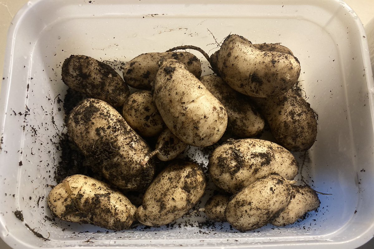 Grinton smallholder tweet media