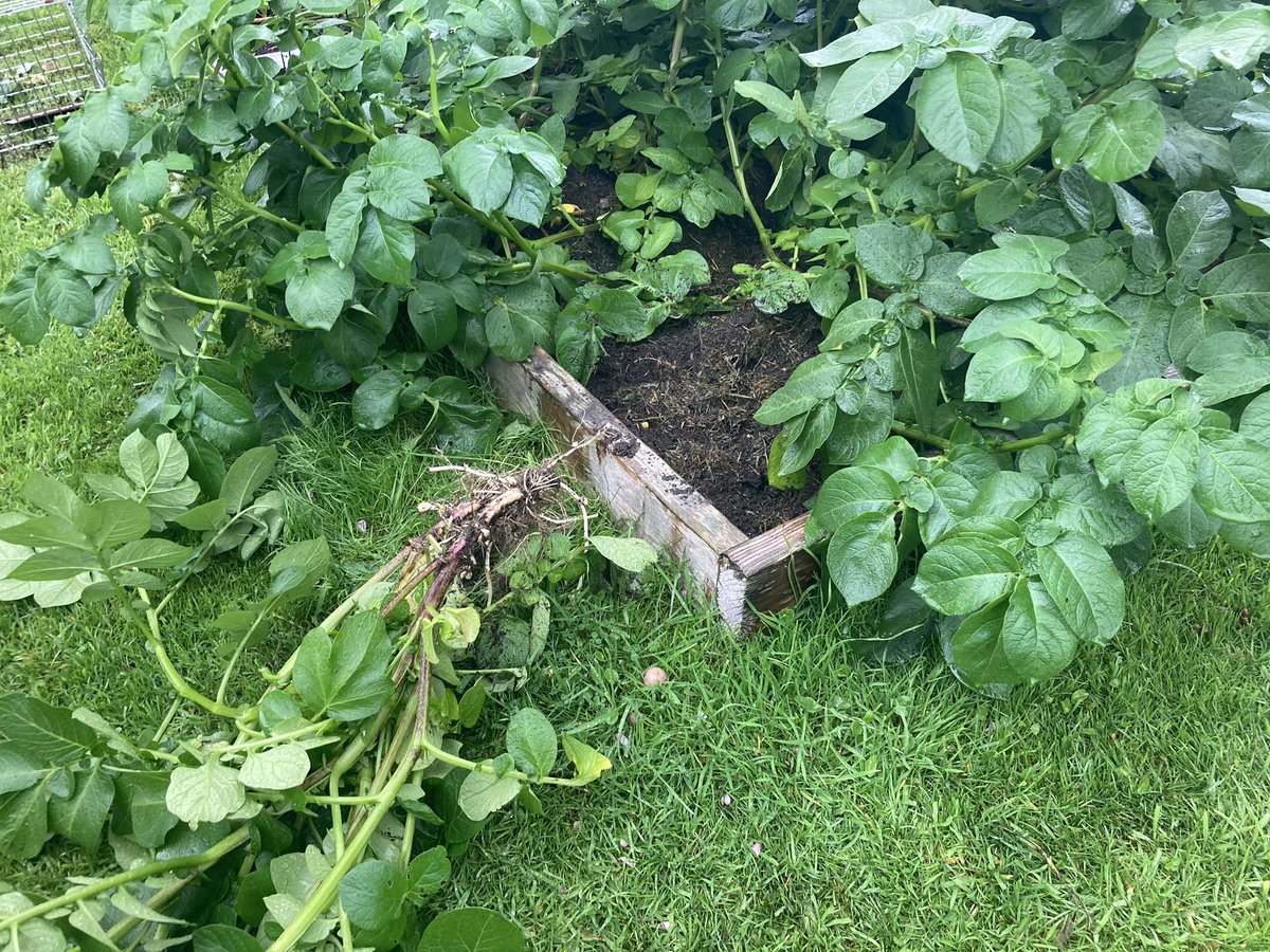 Grinton smallholder tweet media