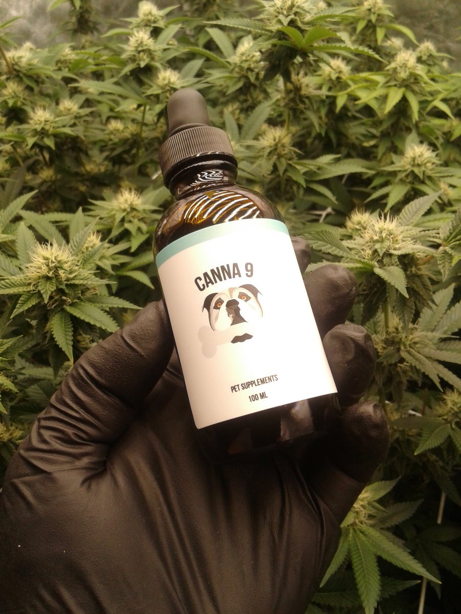 1978_light's tweet photo. "GIVEAWAY TIME" Want to win a bottle of CBD for your dog? Just RETWEET this post &amp; Follow to Enter! Winner will be picked July, 8th.
#CannabisCommunity 🐶💚 https://t.co/VIJWNpqqEG